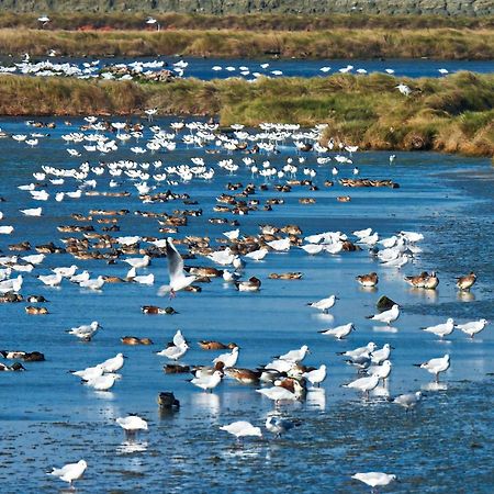 The Wind B&B Budai Dış mekan fotoğraf